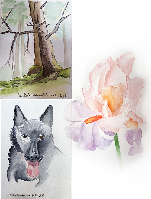 Aquarelle
Aquarelle
