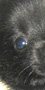 logo
Hund