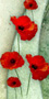 Elfenkind
Romane_b